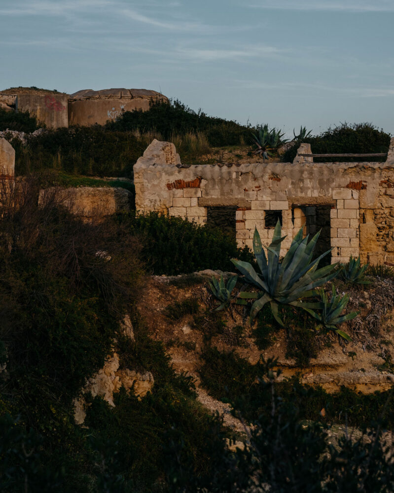 dimenticare - 5
